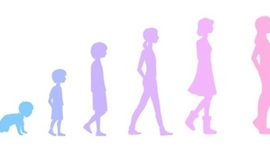 Timeline: La vida de Kassandra Buenrostro