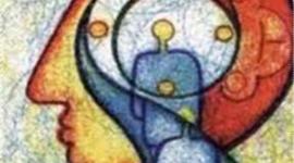 Timeline: Linea del desarrollo del hombre