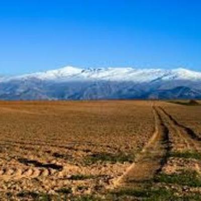 Timeline: Nevada Timeline