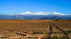 Timeline: Nevada Timeline