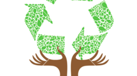 Timeline: Recycling - Interesting Historical Dates