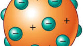 Timeline: Modelos anatómicos.