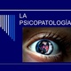 Tema 9 psicopatologia 1 728