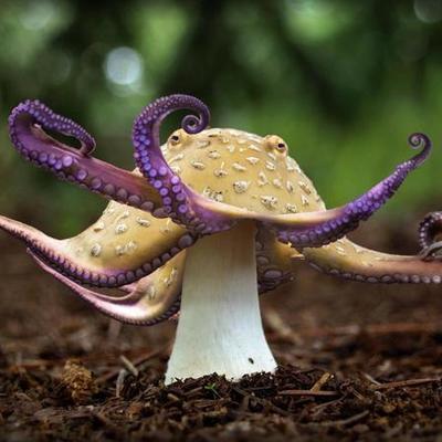 Timeline: Developmental Milestone Timeline