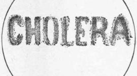 Timeline: Cholera