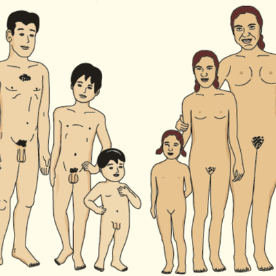 Timeline: características presentes en el desarrollo sexual del ser humano