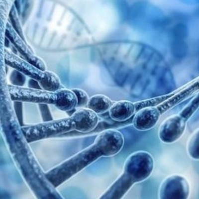 Timeline: Historia del descubrimiento de la molécula de ADN.