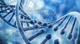 Timeline: Historia del descubrimiento de la molécula de ADN.