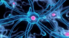 Timeline: History of Cell Discoveries