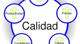 Timeline: Control de Calidad