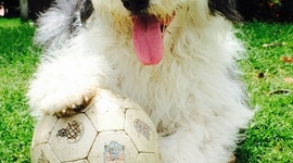 Timeline: Taller5_CSyE_Finlandia_Grupo3