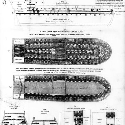 Timeline: The Browns and the Sally