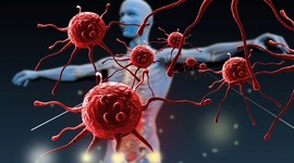 Timeline: IMMUNE SYSTEM TIMELINE
