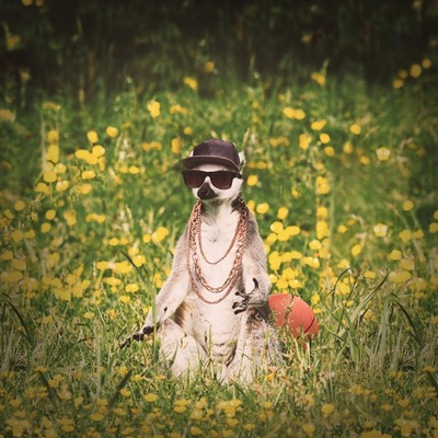 Timeline: Civil war timeline