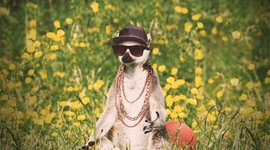 Timeline: Civil war timeline