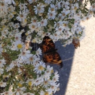 Timeline: Battles in the Civil