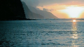 Timeline: How Koalas Achieved World Domination