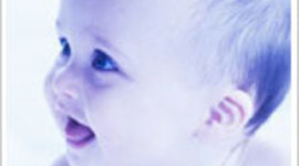 Timeline: Fetal Development