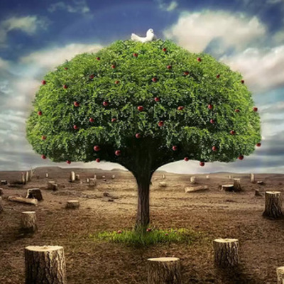 Timeline: Mi eco-proyecto de vida