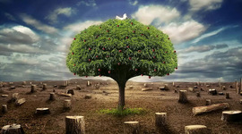 Timeline: Mi eco-proyecto de vida