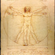 140214 sci vitruvianman.jpg.crop.original original