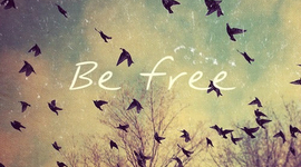 Timeline: Proyecto de vida sostenible