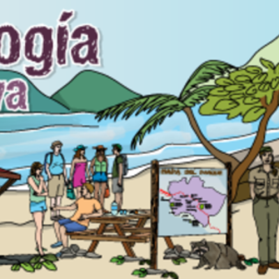 Timeline: Avance y desarrollo de la tecnología