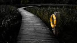 Timeline: My education path and life milestones.