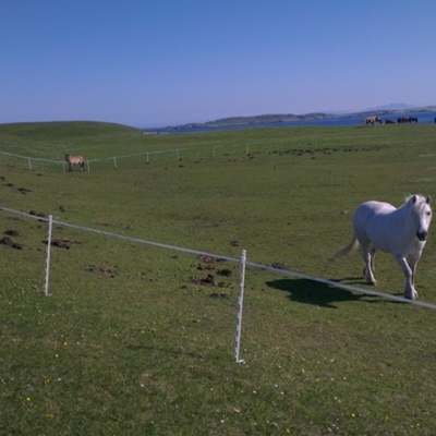 Timeline: Fence Project Timeline