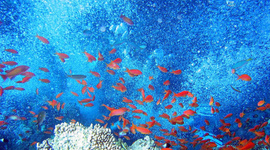 Timeline: MY GRANDFATHER'S TIMELINE