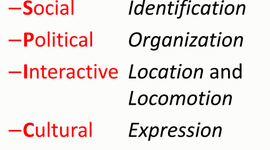 Timeline: SPICE Timeline