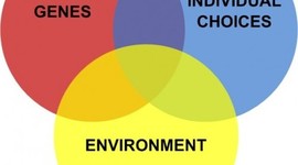 Timeline: Nature Vs. Nurture