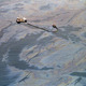 Cleaning oil spill 1 1