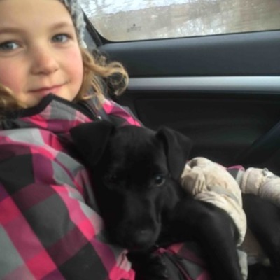 Timeline: Jessica's Timeline 2015 - school project