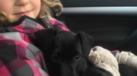 Timeline: Jessica's Timeline 2015 - school project