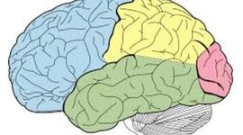 Timeline: Linea de tiempo Psicopatologia