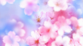 Timeline: Cyberbullying