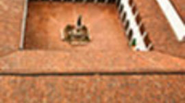 Timeline: patrimonio nacional (claustro rosarista)