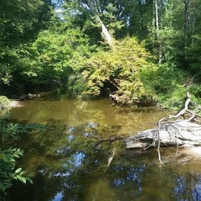 Timeline: Mia Grossi's Timeline Project