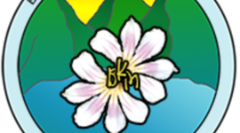 Timeline: The Future of BKM Schools