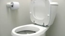 Timeline: PLTW-History of toilets