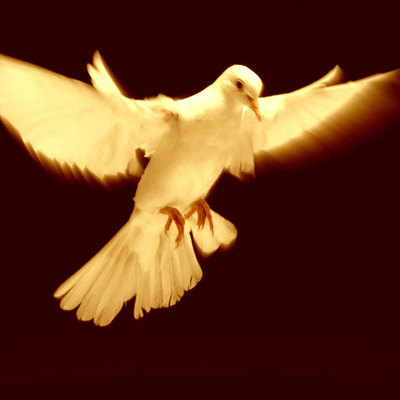 Timeline: HISTORIA DE LOS DERECHOS HUMANOS Y SU IMPORTANCIA