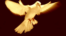 Timeline: HISTORIA DE LOS DERECHOS HUMANOS Y SU IMPORTANCIA