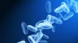 Timeline: Henri Désiré Landrú