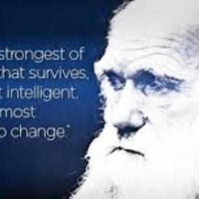 Timeline: Evolutionary Theory Evolves