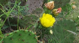 Timeline: 4.1 Key Changes Timeline