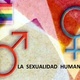 La sexualidad humana fisiologia y conducta 1 638