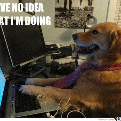 Timeline: Opdagelser