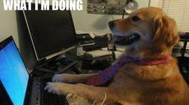 Timeline: Opdagelser