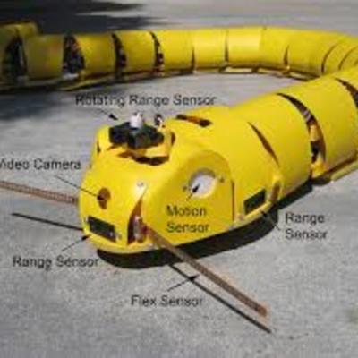 Timeline: frise cronologique